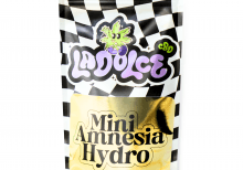 MINI AMNESIA HYDRO