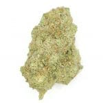 ChatGPT Image 13 feb 2026, 17_48_09