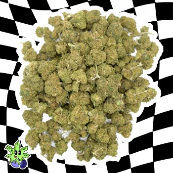 Mini Buds de CBD: Todo sobre los cogollos pequeños o palomitas