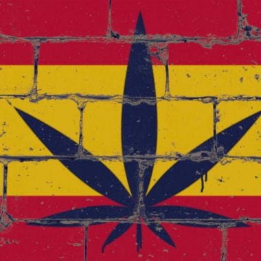 CBD para la piel: ¿El secreto para una piel radiante?