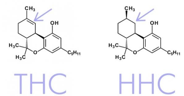 diferencias entre hhc y thc