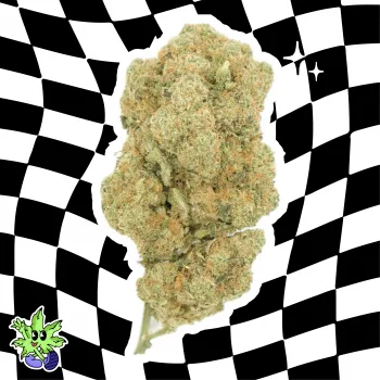 Beneficios del CBD para la Relajación: Una Guía Completa