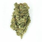 ChatGPT Image 16 feb 2026, 12_22_16