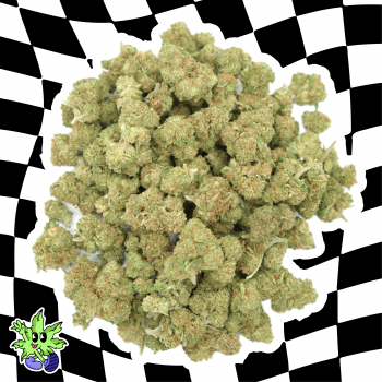 MINI TANGIE TONIC GH