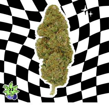 CANDY KUSH